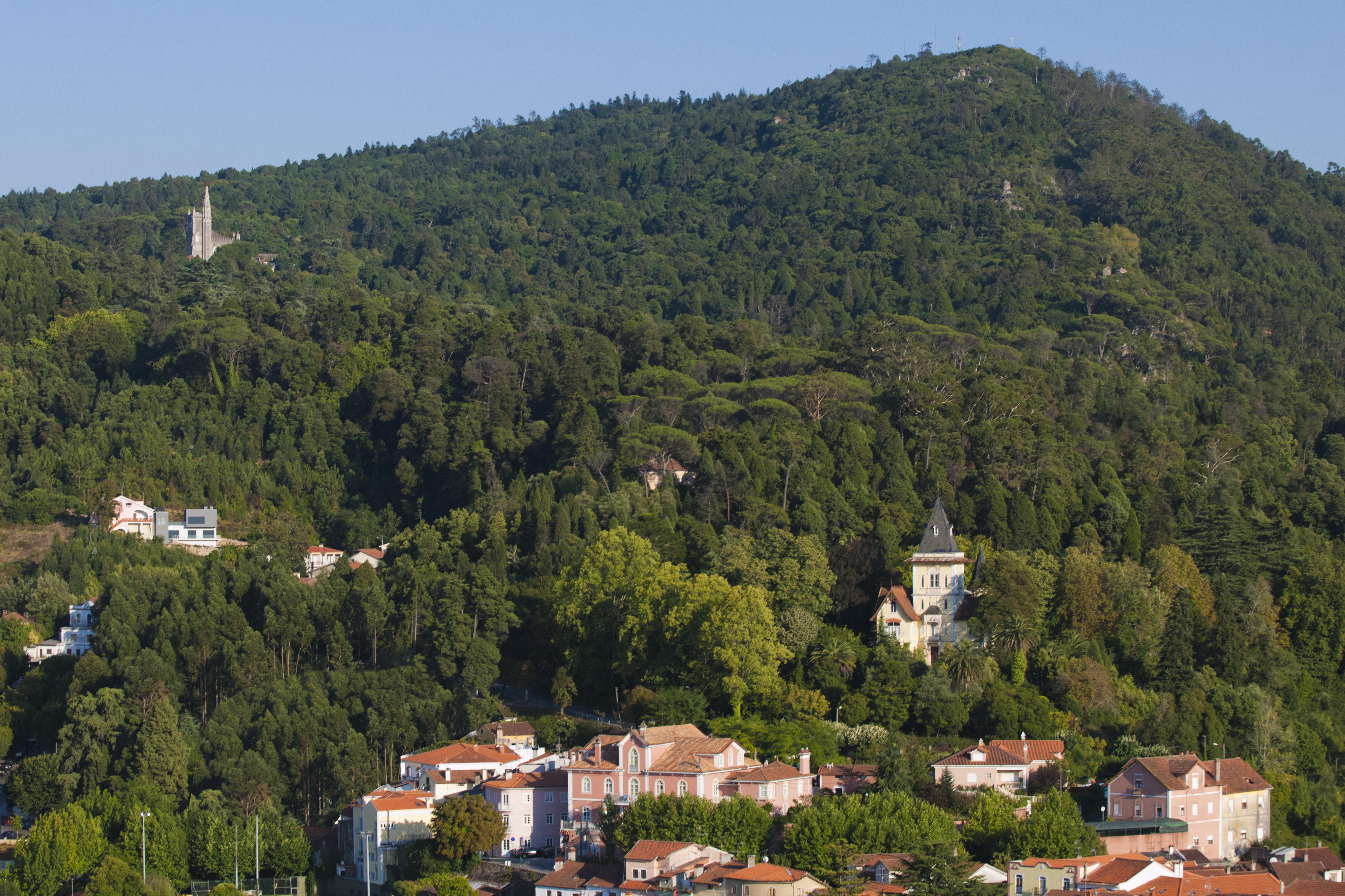 Alegre - Bussaco Boutique Hotel Luso  Exterior photo